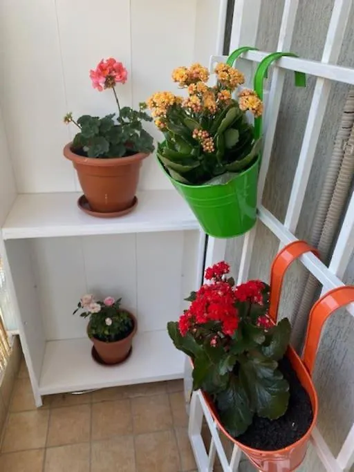 Cin Cin Roma Centro Appartement